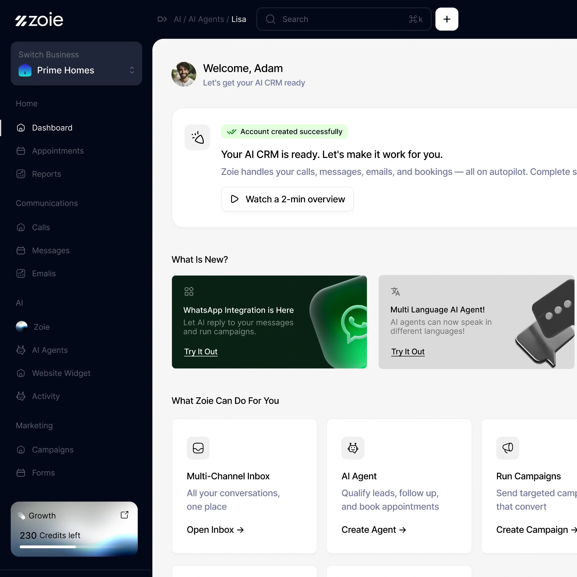 Zoie AI dashboard preview